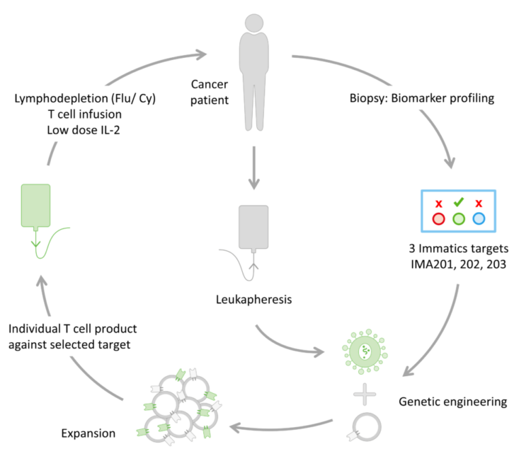 Adoptive Cell Therapies – Immatics